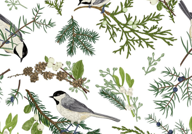 Bird Wallpaper Design - Asian Paints