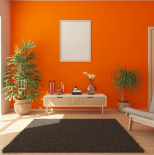 Peach Coloured Living Room - Asian Paints