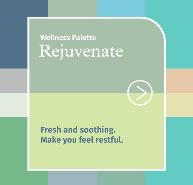 wellness-palette-rejuvenate-lead-image-asian-paints